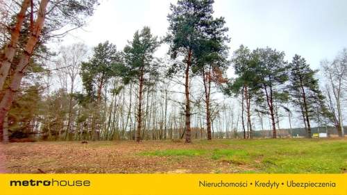 Sprzedam dużą działkę z WZ, Suliszew k.Skierniewic