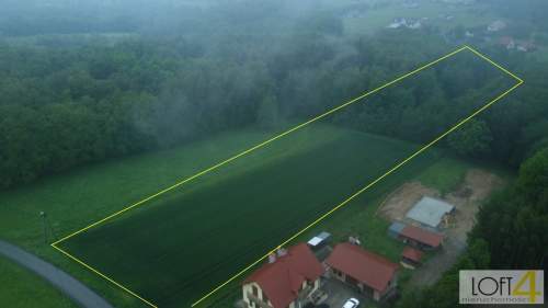 Duża działka z WZ - wiele możliwości