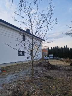 Dom RUDAK, 135 m2, 5 pokoi, działka 450 m2,bez PCC