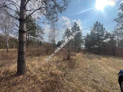 Piękna działka Tłumy gm.Mszczonów