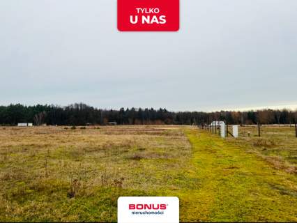 Działka rolna blisko lasu - Grzepnica