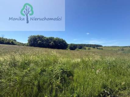 Działka rolna - 16.500 m2 za 150 tyś zł
