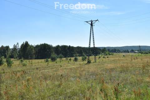 Działka 21 352 m z częścią budowlaną - Kunów