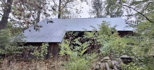 Dom z zabudowaniami 1,10 ha wieś w gm. Pacanów pow. buski 