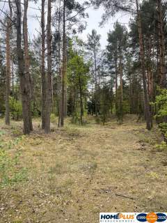 Działka w lesie 2064 m - letniskowa i całoroczna