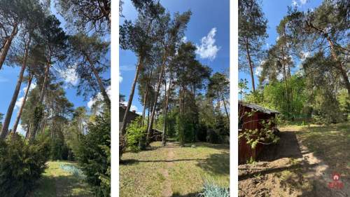 Posiadłość 2500m2 Zadbany Dom z Lasem