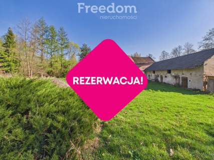 Wyjątkowe siedlisko z duszą nad rzeką