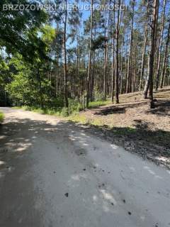Białołęka, Kobiałka, 1385 m2, WZ wolnostojący