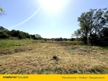 Działka rolka/łąka 2720 m2 w Zabrzu - Rokinicy