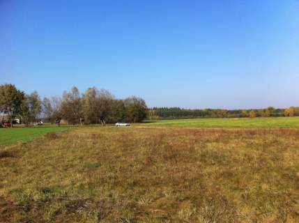 Działka z WZ 90km od Warszawy-Płońsk-Płock-Raciąż