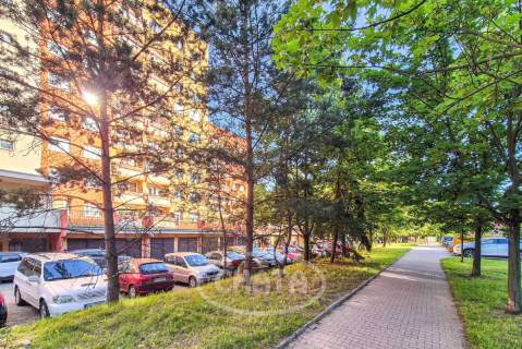 Mieszkanie do wynajęcia, 50 m2, Wrocław