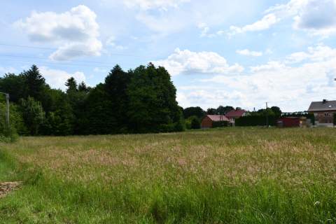 Działka budowlana 42.46a - Dylągówka