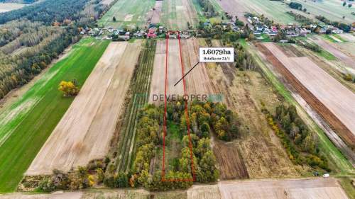 Gospodarstwo rolne - Huta, gm. Baranów