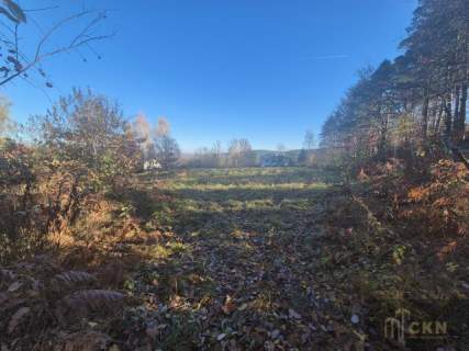 KORNATKA - BUDOWLANA - 44,22 AR