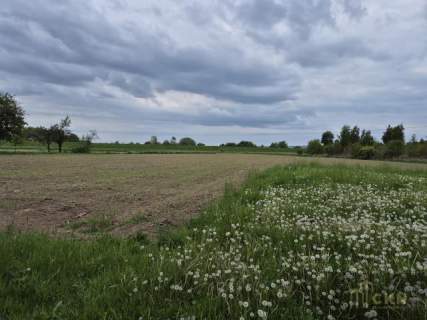 BRANICE - CHAŁUPKI