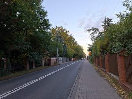 DĄBROWA LEŚNA