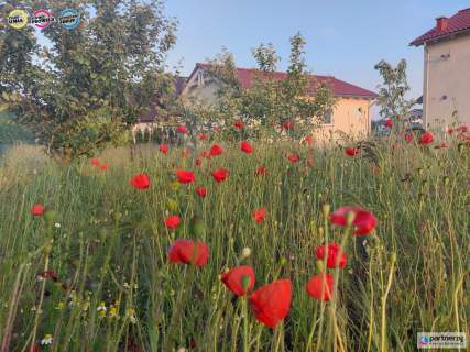 Wyjątkowa willa z kameralnym ogrodem i sadem