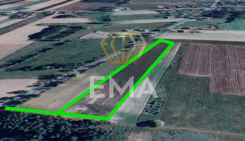Rząśnia 10 000 m pod dom, usługi lub agroturyst