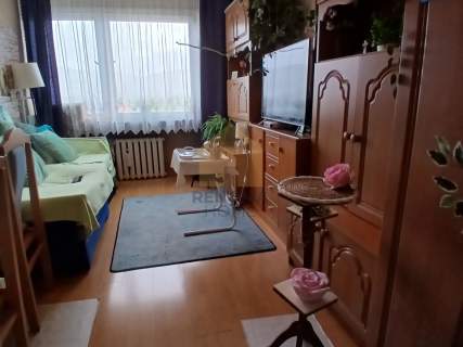 Mieszkanie dla cudzoziemców