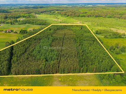 Las inwestycyjny 9,5 ha 770 m   drewna