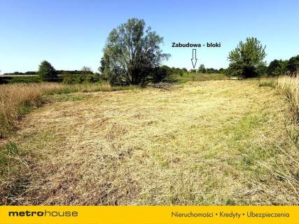 Działka rolka/łąka 2720 m2 w Zabrzu - Rokinicy