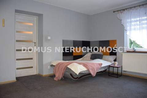 siedlisko okolice Bełchatowa