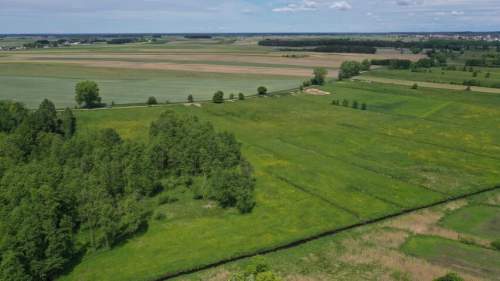 Grunty rolne, działki - Kolno