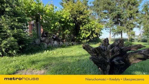 Siedlisko z pełną prywatnością wśród natury