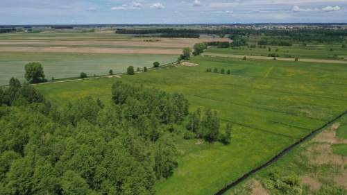 Grunty rolne, działki - Kolno