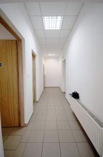 Lokal biurowo-usługowy w Opolu na wynajem