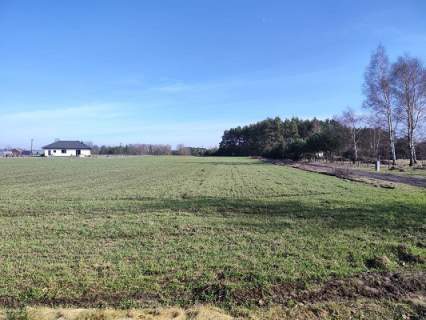 Działka budowlana o pow. 950m2, gm. Ceków- Kolonia