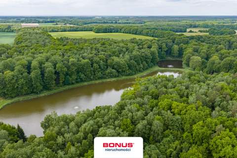 Prywatny kompleks wodny w środku lasu
