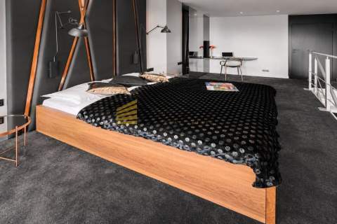 Stylowy Loft z Balkonem Siłownia Fitness