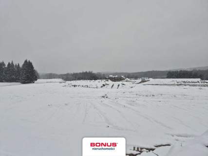 5ha ze stawem i projektem 12 domków