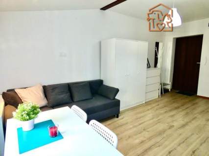 Jana Matejki 4, Śródmieście, studio pet friendly