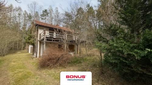 Prywatna Enklawa w Sercu Lasu 1,29 ha Działki