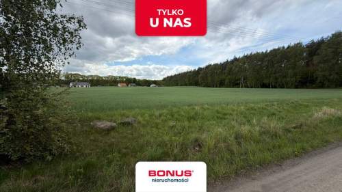 Działka Zelgniewo , blisko jeziora tylko 16 km od Piły.