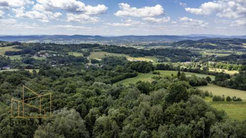 Dom z widokiem na 88 arach, Janowice, Pleśna