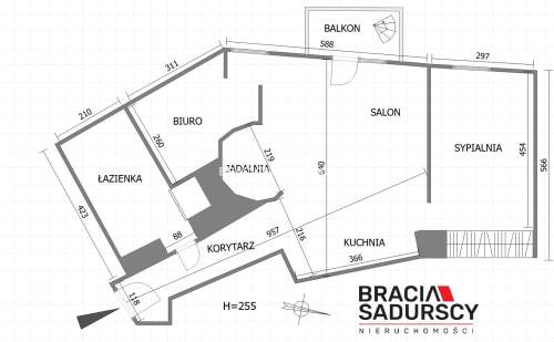 3-pok apartament na wynajem ul. Madalińskiego