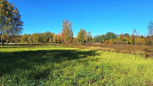 Sprzedam działkę budowlaną 1005 m2, Łomianki Dąbrowa