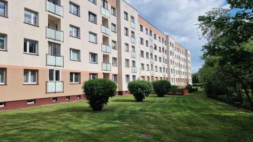 Ciche i słoneczne z widokiem na przestrzeń i zieleń
