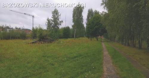 Lesznowola, Łazy,11596 m2,MPZP, usługowa bliźniaki