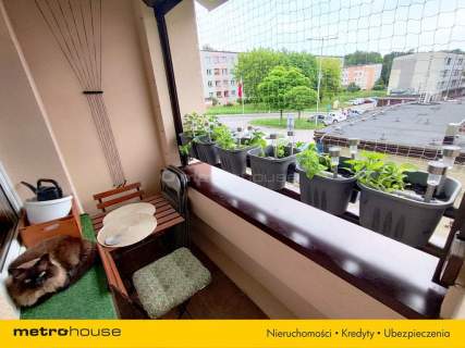 2 pokoje - Wysoki parter - Balkon - 39 m2