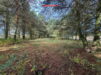 Działka budowlana na sprzedaż, 8200 m2, Rychlik