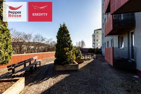 Piękny widok na zatokę i panoramę miasta