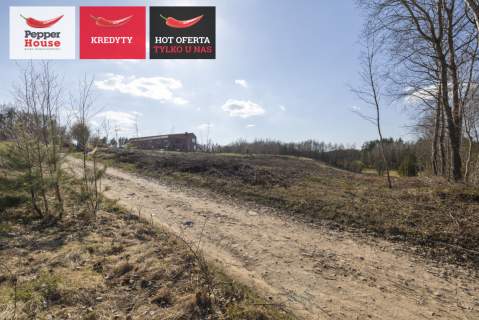 Michalin Działka 10 079 m MPZP 27MN jezioro
