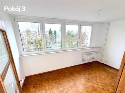 Canaletta/pełen rozkład/balkon/loggia/piwnica
