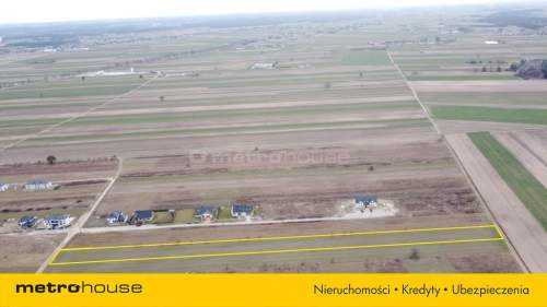 Działka na sprzedaż, 7387 m2, Rybienko Stare