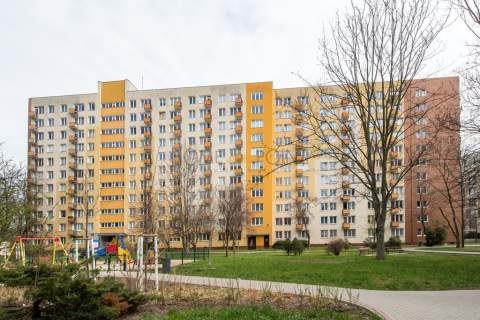 Saska Kępa-kawalerka z balkonem