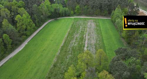 DZIAŁKA ROLNA ŚWIDNO GM. KRASOCIN 3992 M2